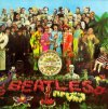 sgpepper