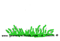 Vivalanutella