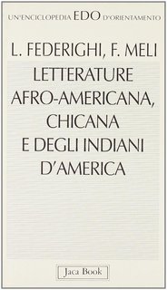 Luciano Federighi, Franco Meli - Letterature afroamericana, chicana e degli indiani d'America (1993)