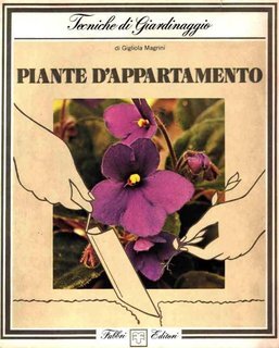 Gigliola Magrini - Piante d'appartamento (1980)