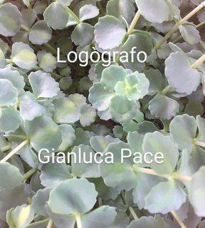 Gianluca Pace - Logògrafo (2025)