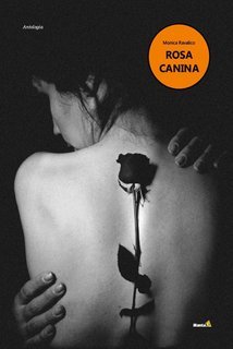 Monica Ravalico - Rosa canina, a short story (2025)