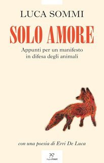 Luca Sommi - Solo amore (2025)
