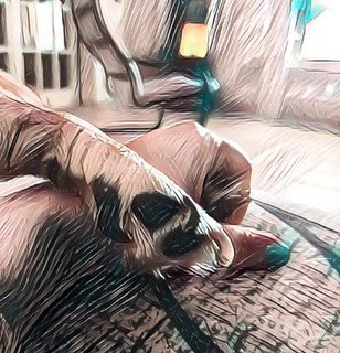 Raggio Di Sole - Le avventure del Piccolo Bloom (2025)