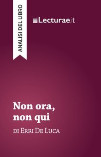 Tommaso Rossi - Non ora, non qui, di Erri De Luca. Analisi del libro (2025)