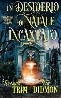 Tia Didmon - Avvolta Nazione Vol. 13. Un Desiderio di Natale Incantato (2025)