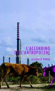 Alfonso Pinto - L'accendino dell'Antropocene (2022)