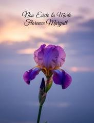 Florence Marryatt - Non esiste la morte (2025)