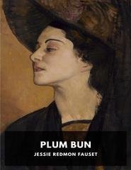 Jessie Redmon Fauset - Plum Bun (2025)