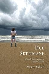 Andrea Sarani - Due settimane. Quando scoprire l’amore significa tradire (2026)